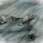 Racconti Di Mare - 5 Terre Jre
